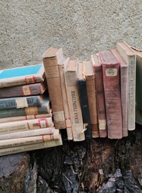 高级感法式复古婚纱照外文旧书婚礼签字道具旧书英文硬皮精装书