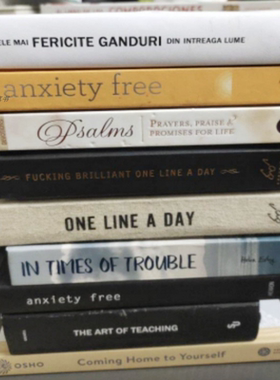 简约现代装饰真书板房装饰别墅书房售楼处陈列摆件随机发