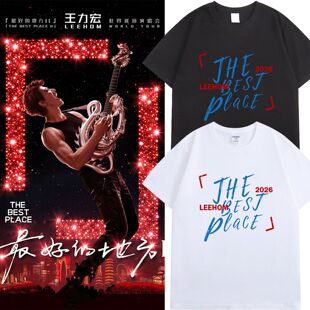 王力宏演唱会纪念T恤演唱会周边STAFF应援服