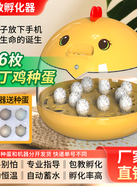 送蛋科教孵化器小型家用全自动控温恒温孵化箱芦丁鸡儿童孵蛋器