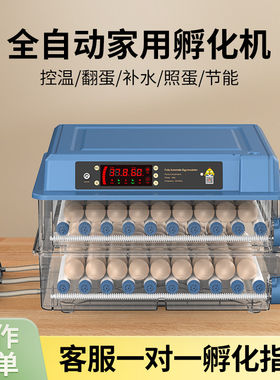 威振孵化器全自动简单