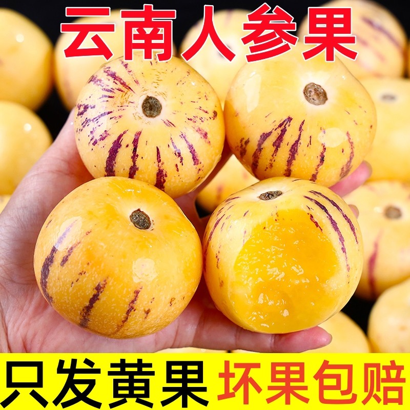 云南石林人参果5斤新鲜水果人叁果人生果树上熟当季黄肉大果整箱