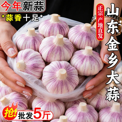 山东金乡农家大蒜头干蒜紫白皮新干蒜种籽新鲜蔬菜农家新大蒜头