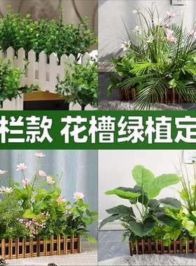 假盆栽花草装饰摆设仿真假的绿植栅栏盘栽塑料电视柜摆件绿色植物