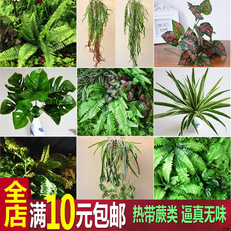 仿真蕨类植物背景墙假花仿真草绿植假草装饰花草绿草大波斯草叶-封面