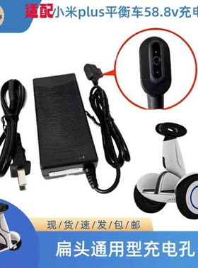 非原装平衡车plus充电器