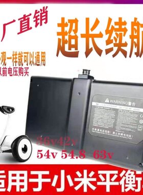 小米mini936v54v平衡车电池