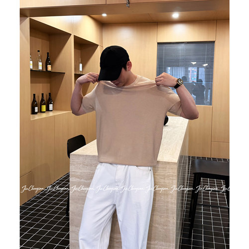 新款老钱风纯色圆领短袖商务休闲百搭舒适男女T恤