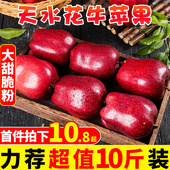 甘肃天水花牛苹果10斤新鲜水果整箱应当季 孕妇婴儿大甜脆粉