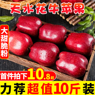 甘肃天水花牛苹果新鲜水果