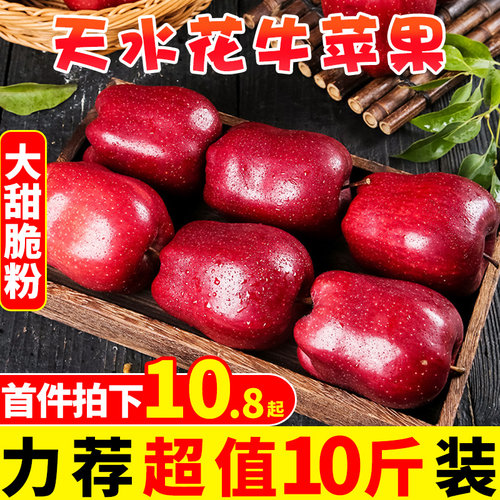 甘肃天水花牛苹果新鲜水果