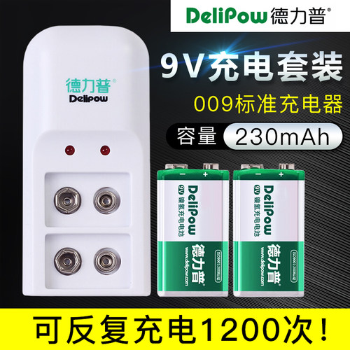 德力普9V/6F22充电锂电池套装