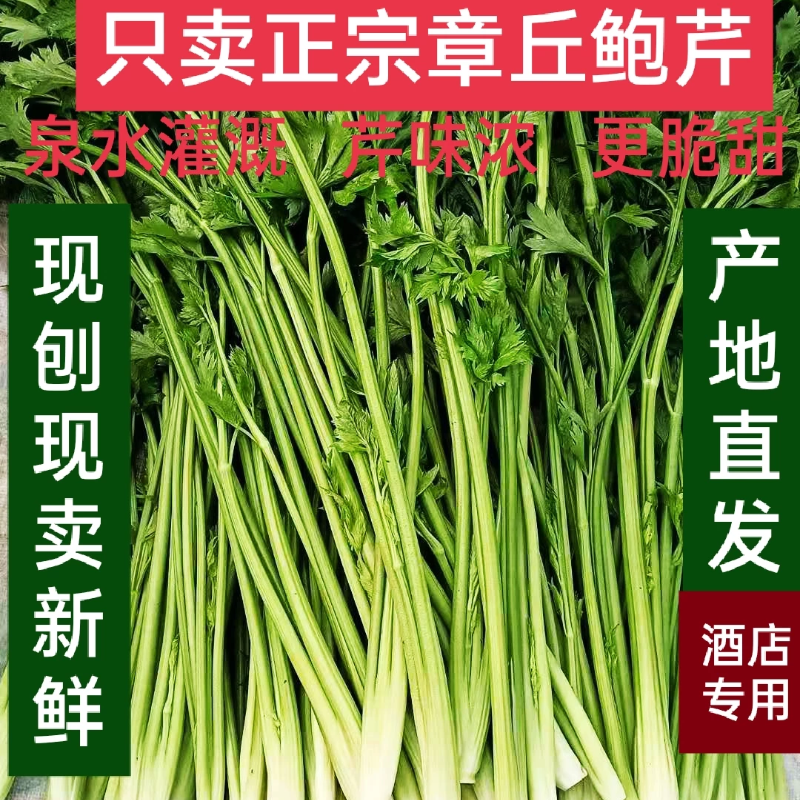 章丘新鲜鲍芹一级菜芽3斤5斤包邮脆甜现刨现卖产地直销