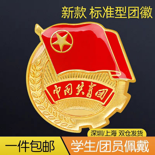 10枚团徽2022正版学校学生用标准型中国共青团员团徽安全别针式大