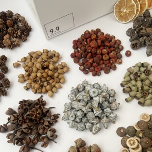 【果实1-2cm合集】天然干果干花水果手工diy材料幼儿植物标本相框