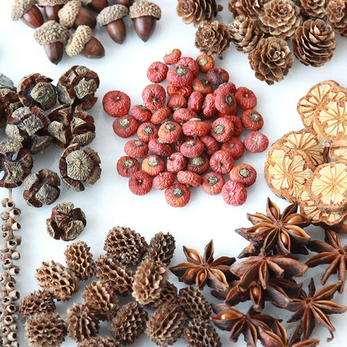 松果木片树叶干花干果组合套装 幼儿园装饰小摆件 复古拍照道具