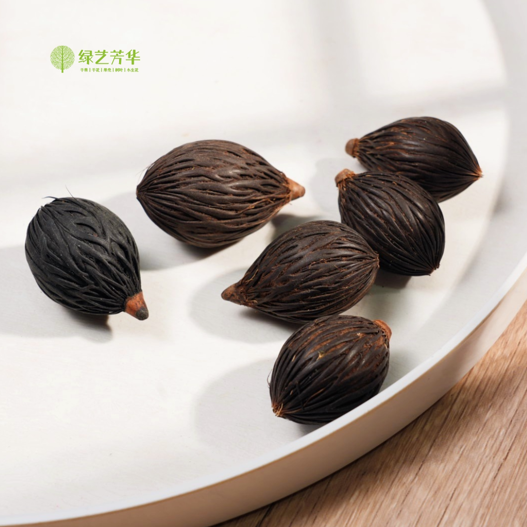 【狐尾椰果】天然植物果实种子标本收集手工diy材料幼儿环创教育