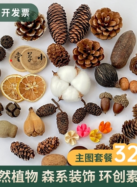 圣诞松果肉桂卷干花盒羊齿叶柠檬片干果蜡烛香薰DIY材料圣诞礼包