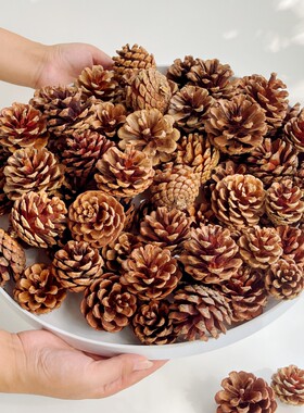 天然油松果100个混合尺寸大中小手工diy装饰松果画幼儿园圣诞松果