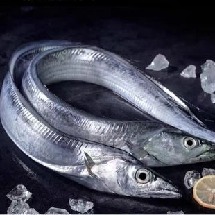 渤海湾带鱼4-6整条/箱大连当地新捕捞单冻又宽又厚