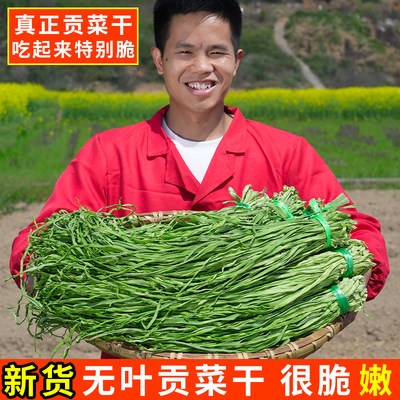 一级贡菜干无叶贡菜苔菜干