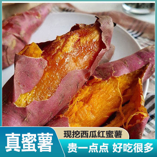 现挖现发高山沙地西瓜红蜜薯新鲜西瓜红密薯地瓜糖心番薯粉糯甜