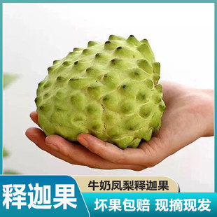 整箱凤梨新鲜释迦果5斤大果新鲜农产品 现摘番荔枝牛奶释迦摩尼果