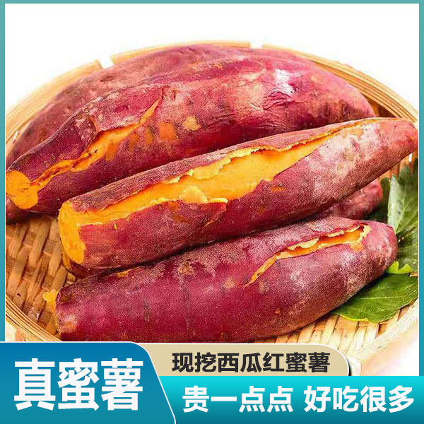 广西西瓜红蜜薯广西红薯黄心番薯板栗沙地种植软糯香甜烤地瓜