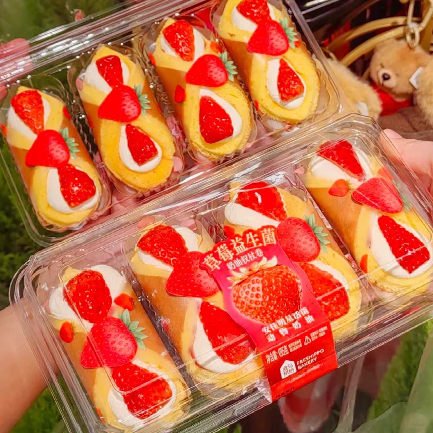 烘焙草莓益生菌奶油权杖卷包装盒水果奶油草莓蛋糕卷一次性透明盒,厨房/烹饪用具,点心包装盒/包装袋,淘宝优惠券,粉丝福利购,淘宝优惠卷