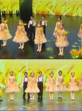 稻田里的中国梦演出服装儿童黄色纱裙稻穗道具禾下乘凉梦表演服