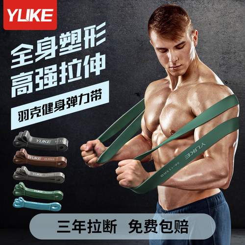背肌价格 背肌图片 星期三