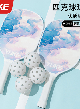 匹克球拍板全套pickleball儿童成人初学者专业比赛拍板碳纤维全套