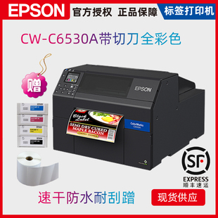 C6530A 爱普生CW 宽幅面彩色标签机8英寸自动裁切型替代GP C832