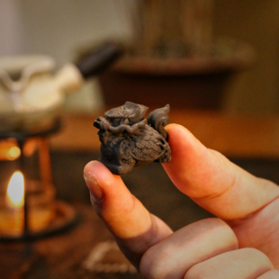 柴烧陶泥龙龟茶针搁置茶宠茶桌摆件手工制作茶周边器具创意零配件