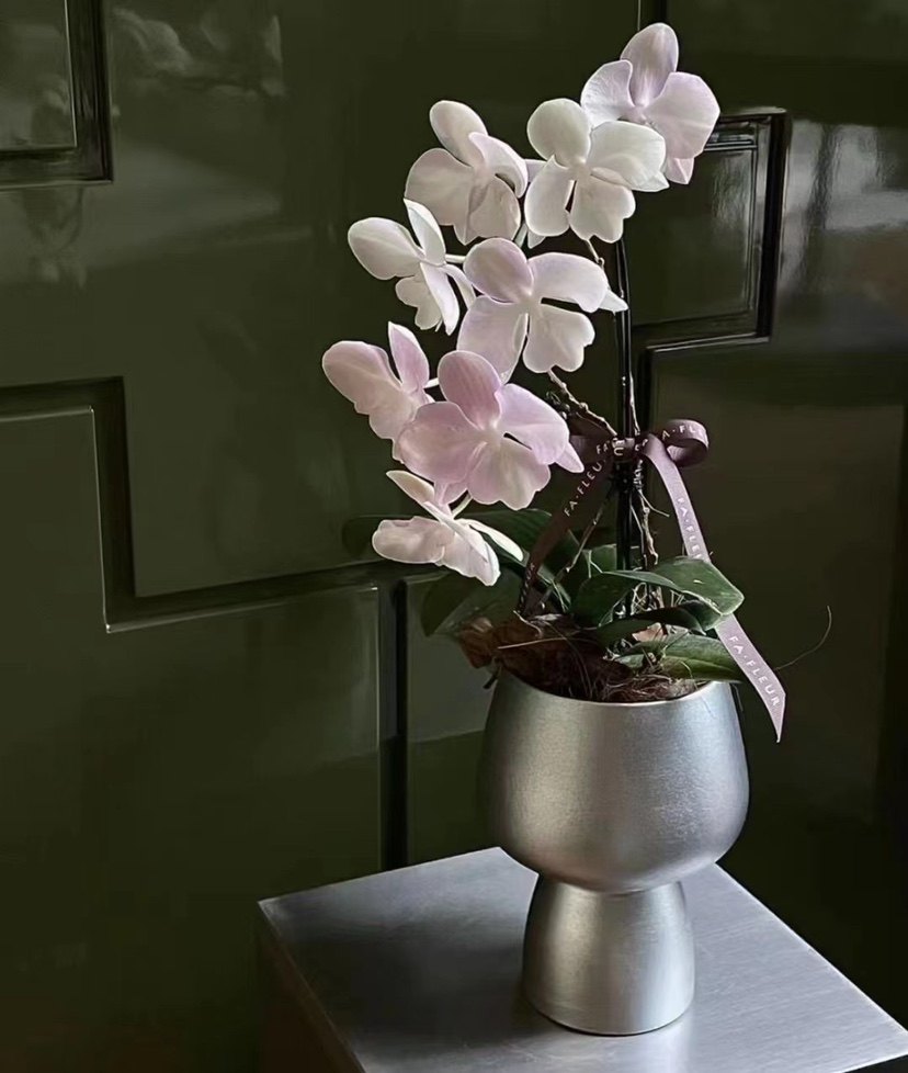 外贸花器欧美简约设计个性创意蝴蝶兰花盆热销桌面摆件有孔酒杯,鲜花速递/花卉仿真/绿植园艺,花盆,淘宝优惠券,粉丝福利购,淘宝优惠卷