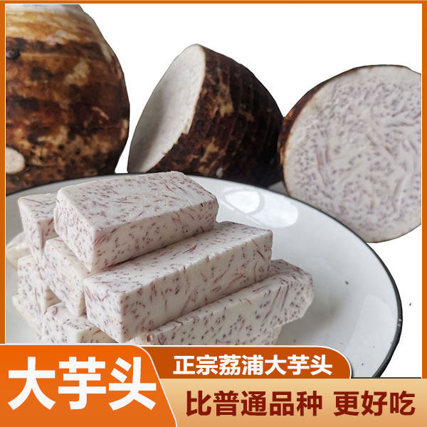 特大一 正宗张溪香芋韶关乐昌特产炮弹芋头新鲜香芋芋头