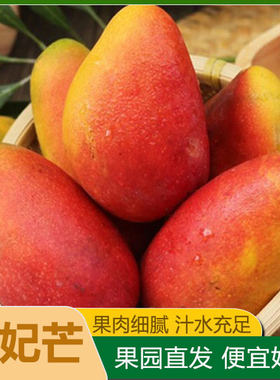 现摘广西贵妃芒果香甜新鲜水果当季整箱包邮红金龙甜心芒特大忙果