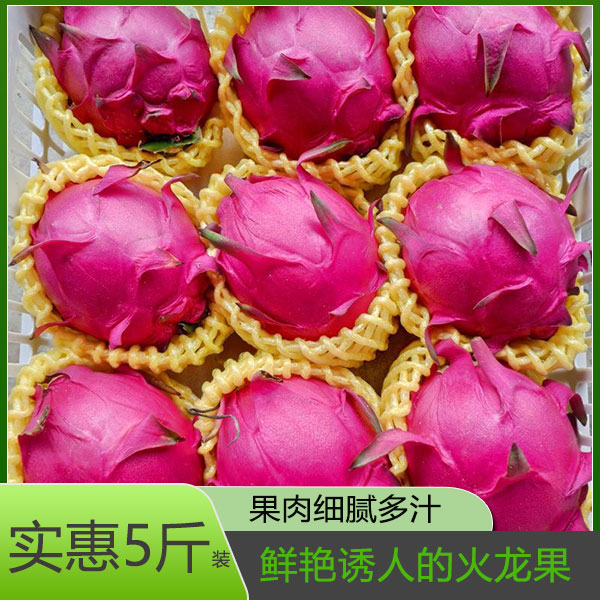 广西红心火龙果热带特产罕见的水果麒麟燕窝果5斤应当季新鲜红皮