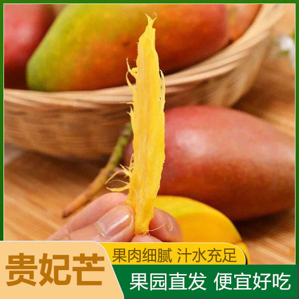 香甜广西非辣椒芒非牙签芒芒果新鲜超甜广西南宁非上树熟贵妃芒果