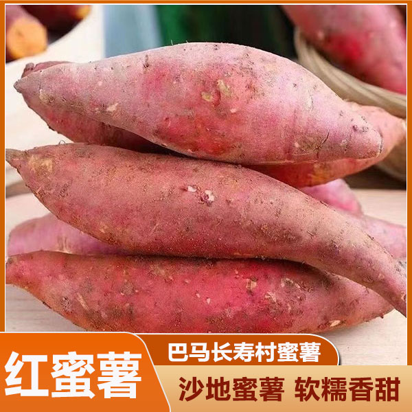新鲜红薯超甜糖心蜜薯高山西瓜红番薯