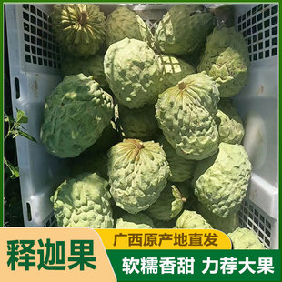 凤梨牛奶释迦果新鲜现摘大果10斤番荔枝广西特产牟尼果新鲜摩尼果