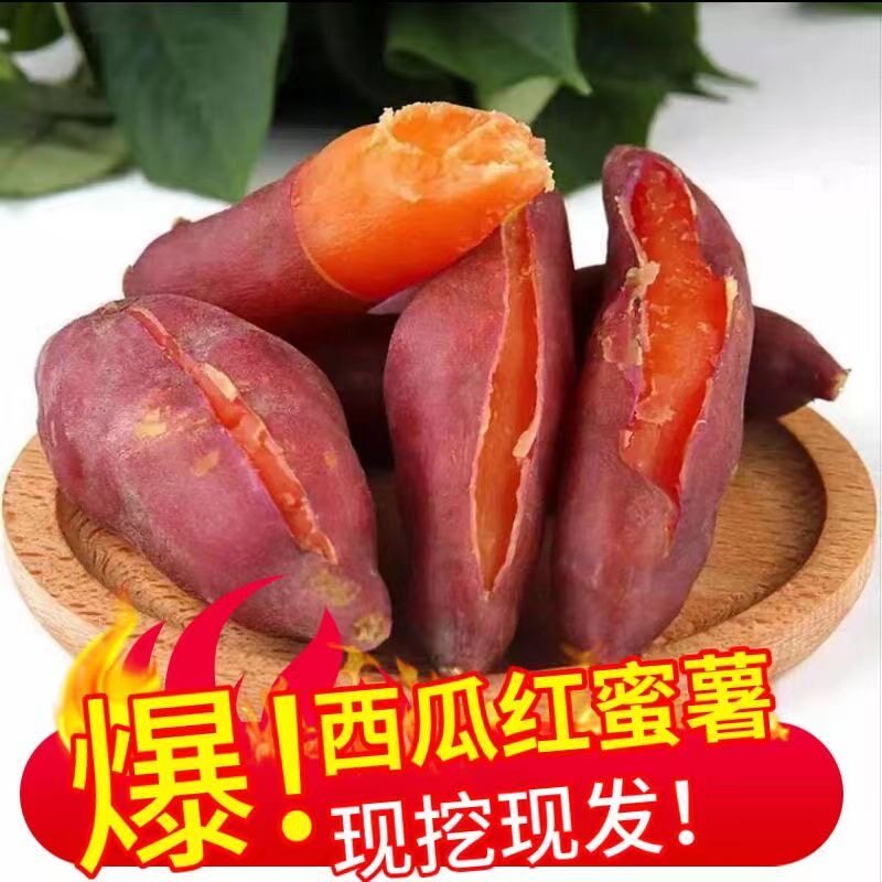 广西巴马蜜薯新鲜红薯地瓜富晒沙地红心红蜜薯正宗漳浦原产地直发