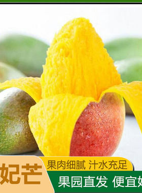 广西贵妃芒香甜芒果新鲜水果整箱应当季树上熟红金龙玉青煌台甜芒