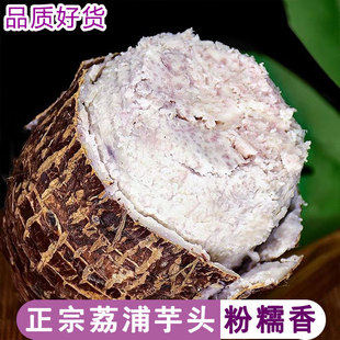 广西红芽芋荔浦小芋头新鲜小芋仔毛芋香芋粉糯芋种芋艿农家芋秧