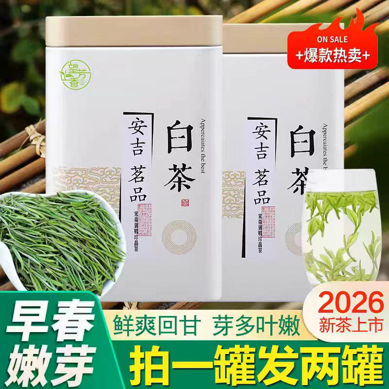 2026年白茶安吉正宗特级雨前绿茶图片