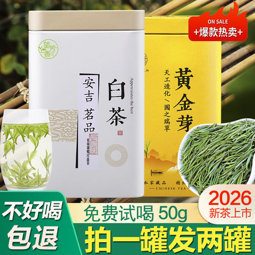 正宗特级安吉白茶2026新茶黄金芽