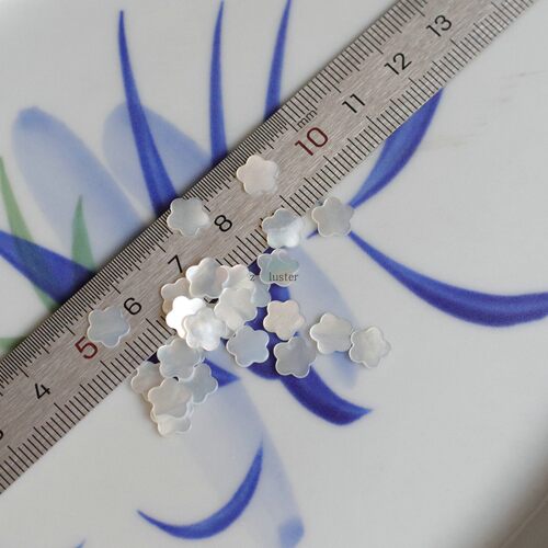 天然贝壳梅花美甲薄片