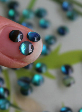 天然鲍鱼贝戒面4mm鲍鱼纸滴油圆片贴片鼓面diy饰品美甲耳钉配件