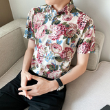5号色