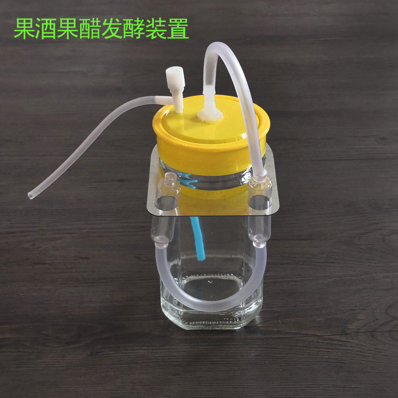 果酒果醋发酵装置 高中生物实验器材 玻璃瓶 密封 27033 教学仪器